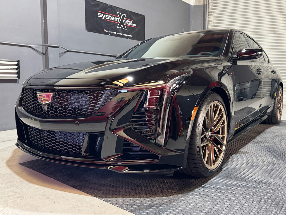 Unparalleled Paint Correction